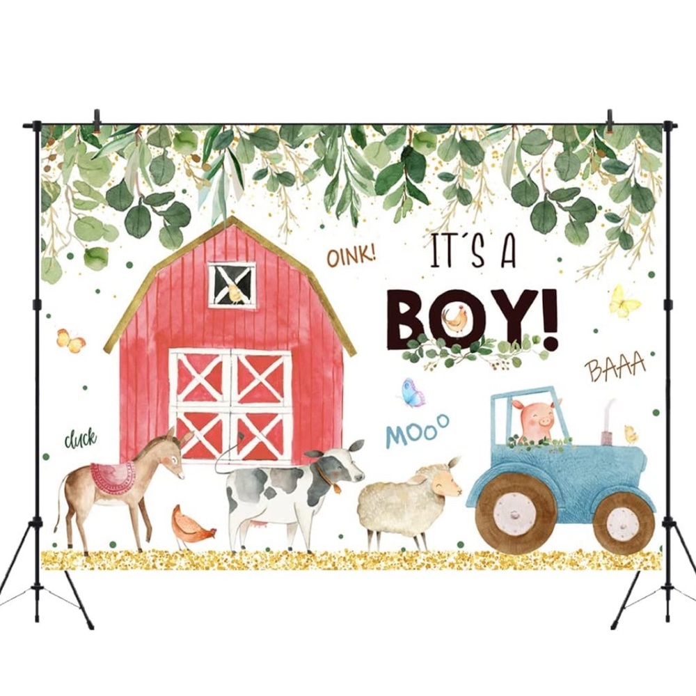 It's A boy 7x5 backdrop